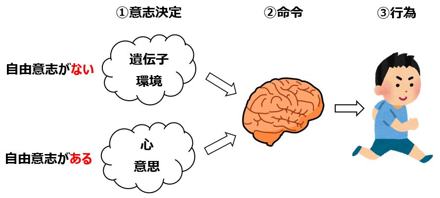 双子のクローン赤ちゃん 自由意志は存在する 知的な小話４５ 読むと賢くなるブログ